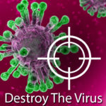 Destroy The Virus